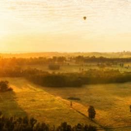 Mudgee Hot Air Balloon Flight