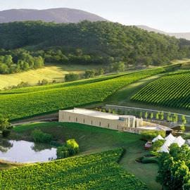 Private Winery Tour with Lunch for Up to 7
