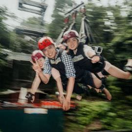 Giant Jungle Swing