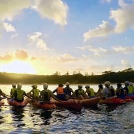 Sea Kayak and Dolphin Tour, Byron Bay Marine Park