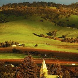 Barossa Valley Half Day Tour for Two