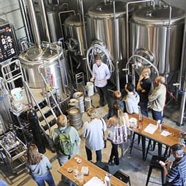 Brewery Tour of Sydney's Northern Beaches