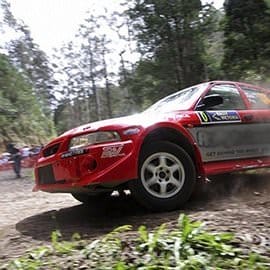Rally Driving Half Day