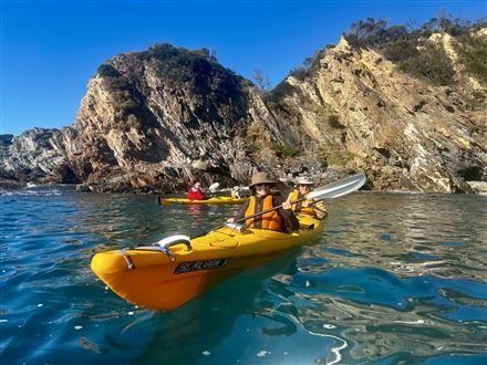 Sea Kayak Tour, Half Day