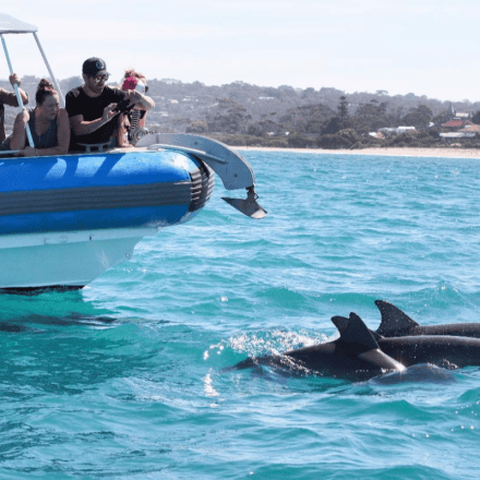 Southern Ocean Adventure for 2