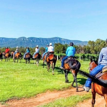 Vineyard Trail Ride