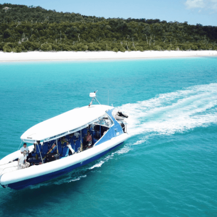 The Ultimate Whitsundays Island Safari Day Trip