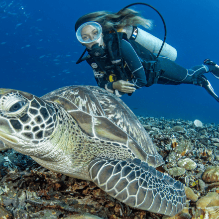 Whitsundays' Northern Expedition