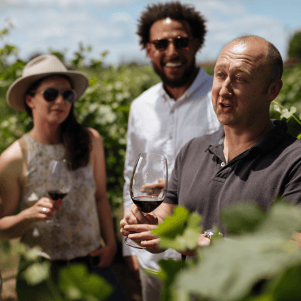 Elderton Elite Tasting Experience