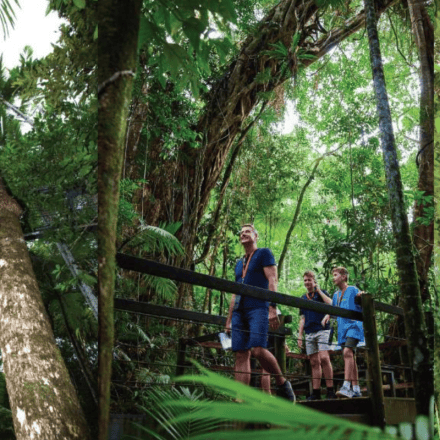 Daintree Crocodile Cruise and Discovery Tour