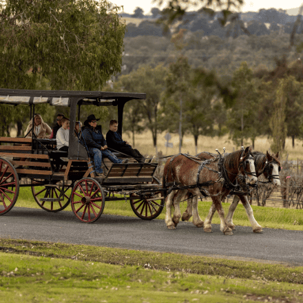 Hunter Valley Wine and Produce Journey