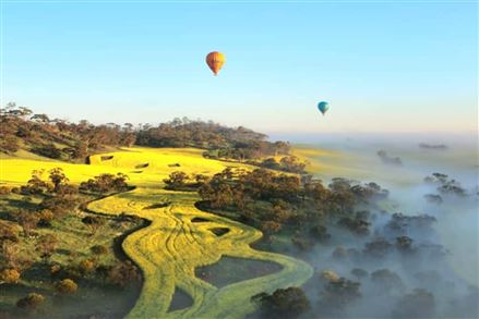Weekday Balloon Flight with Breakfast, Avon Valley