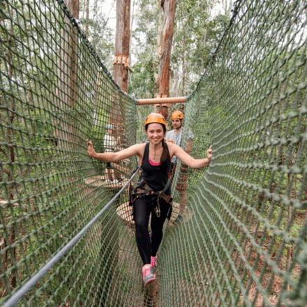 Treetops Elevated Ropes Course