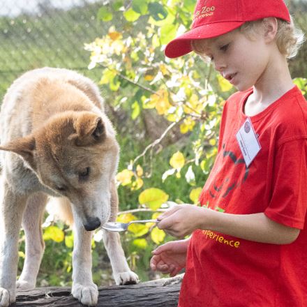 Zookeeper for a Day