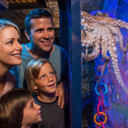 Aquarium Admission, Off-Peak