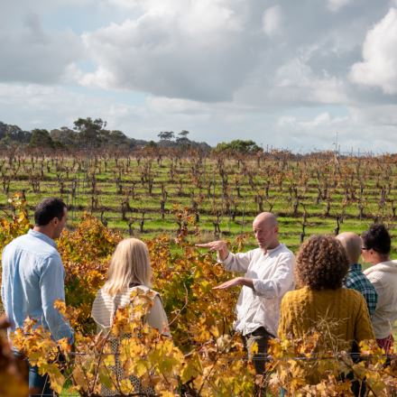 Margaret River Full Day Wine Produce Tour