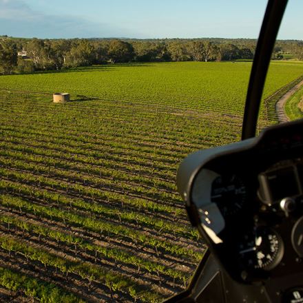 Helicopter Scenic Taster Flight