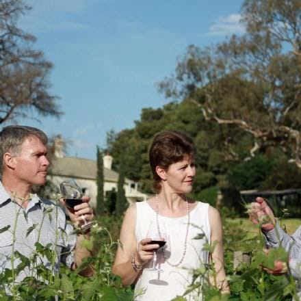 Exclusive Barossa Valley Full Day Tour for Two