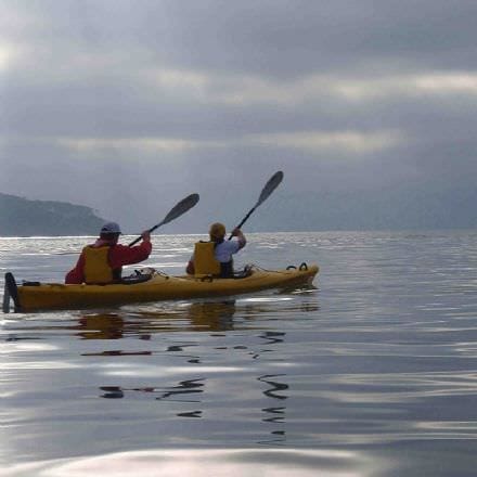 Sea Kayak Tour, Half Day