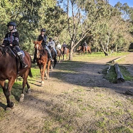 1-hour Family Horse Riding Tour