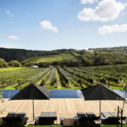 Peninsula Winery Bus Tour with Lunch