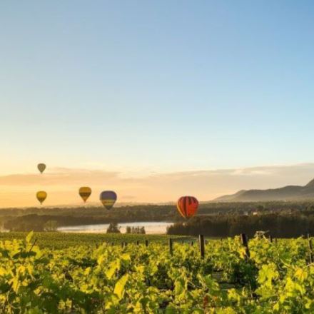Hunter Valley Hot Air Balloon Flight