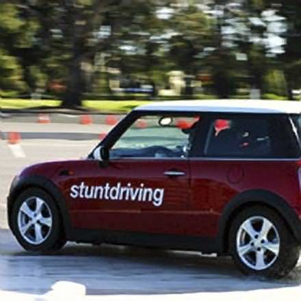 Stunt Driving Wild Ride