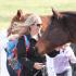 Half Day Racehorse Tour